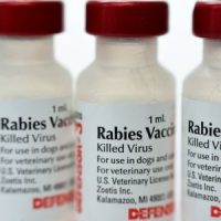 RabiesVaccine